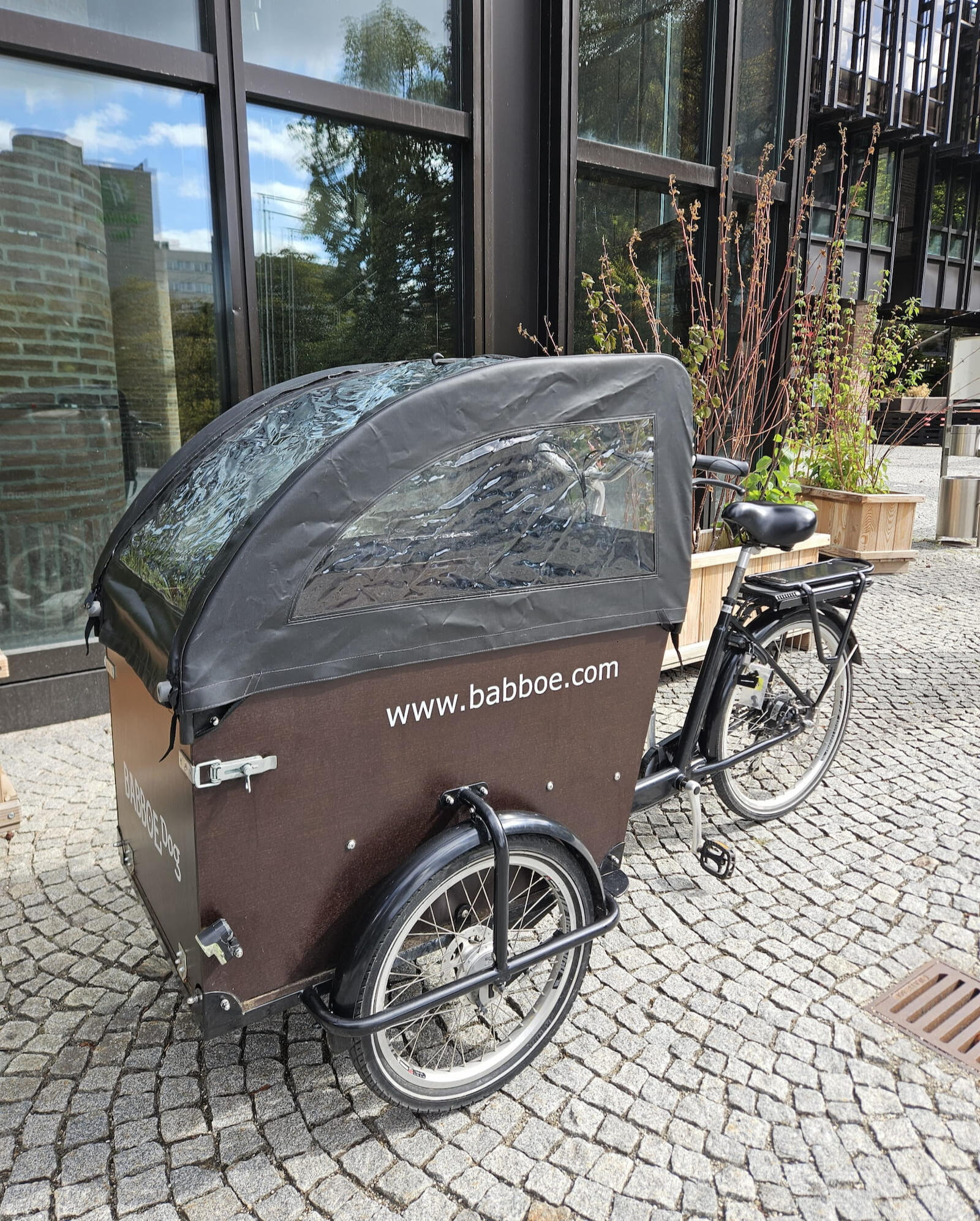 Gebrauchtes Babboe Dog Lastenrad bei FamilyBike München